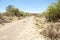 Dirt road on farm in arid region