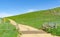 Dirt road through farmland over cattle stop and past signs