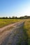 Dirt road in the field. Evening rural landscape. Russia