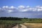 A dirt road in a field among the ripe wheat, sunflowers and corn