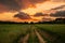 Dirt road through the field at sunset. Beautiful summer landscape.