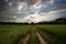 Dirt road through the field at sunset. Beautiful summer landscape.