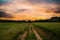 Dirt road through the field at sunset. Beautiful summer landscape.