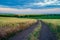 Dirt road between the fields on a country. valley countryside road between green meadows. Rural spring, landscape. morning, sunny