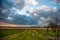 Dirt road in the flemish countryside