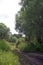 Dirt road in the floodplain of the Pripyat River. Sultry summer. July.