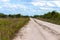 Dirt road in Florida Nature Preserve