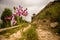Dirt road with flowers leading up to small pagoda in a rural area, Shanxi Province, China