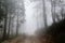Dirt road through a fogy mountain