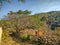 Dirt road foot path leading down mountain with home. Sierra Madre del Sur. Travel in Guerrero Mexico