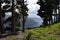 dirt road through the forest around Laguna Cuicocha, beautiful lagoon inside the crater of the Cotacachi volcano.