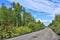 Dirt road through the forest - summer landscape