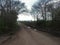 Dirt road with gloomy skies and leafless trees