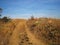 DIRT ROAD GOING UP A HILL WITH DRY BLEACHED GRASS AND VEGETATION