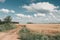 Dirt road. Gold Wheat field panorama with tree at summer day, rural countryside. Sunny and blue sky.