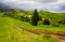 Dirt road through grassy slope in rural area