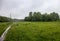 Dirt road and grazing horse in the rain