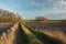 A dirt road with green and dry grass through plowed fields, a copse with trees without leaves and clouds on a blue sky