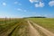 Dirt road in a green field along a fence