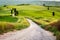 Dirt road and green field in Tuscany