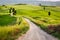 Dirt road and green field in Tuscany