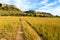 Dirt road in a green grassland valley with rock formations in th