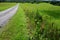 Dirt road through green meadows direction forest