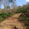 Dirt Road and green nature photography