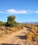 Dirt road through highland savanna. Off road dirt track path in Highland safari, on dry rough terrain in summertime. A