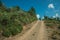 Dirt road on hilly terrain covered by bushes and trees