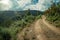 Dirt road on hilly terrain covered by bushes and trees