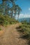 Dirt road on hilly terrain covered by bushes and trees