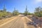 Dirt Road, Inside Saguaro National Park