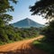 a dirt road through the jungle.