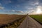 A dirt road leading between cultivated fields. A country road le