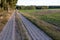 A dirt road leading to the edge of the forest paved with concrete slabs. A forest road prepared for vehicular traffic.