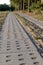 A dirt road leading to the edge of the forest paved with concrete slabs. A forest road prepared for vehicular traffic.