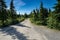 Dirt road leading to Wonder Lake in Denali National Park. Mt Denali McKinley in the background, clear view