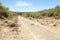 Dirt road leading towards rocky hill in arid region