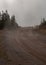 A dirt road leads up a hill between small dark pines while fog drifts across the road