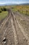 Dirt road, long fence in pasture land, Jackson Hole, Wyoming.