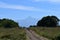 Dirt road in the middle of grass fields and the silhouette of Mount Kenya in the background