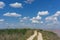 Dirt road in the middle of reeds under the blue sky