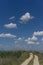 Dirt road in the middle of reeds under the blue sky