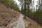 Dirt road in the middle of a sloping mountain with a dry forest in the background