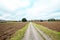 Dirt road in the middle of a tilled field.