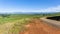 Dirt Road Mountains Cattle Summer Landscape