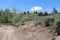 A dirt road in the mountains at Soldier Summit Utah