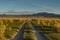 Dirt road near Mono Lake, California, USA