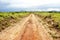 Dirt Road on Nyika Plateau